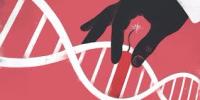 CRISPR/Cas9 İLE SAĞLIKLI İNSAN EMBRİYO ÜRETİLMESİ
