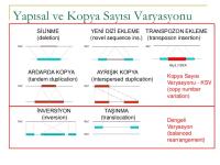 SIÇRAYAN GENLER BENCİL Mİ?