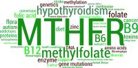 MTHFR Geni Hakkında Bilmeniz Gerekenler