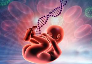 Bebeklerin Yürümeye Başlaması DNA'larında Yazı...