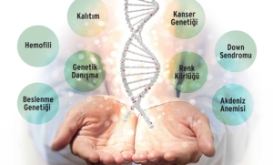 Genetik Test Nedir?
